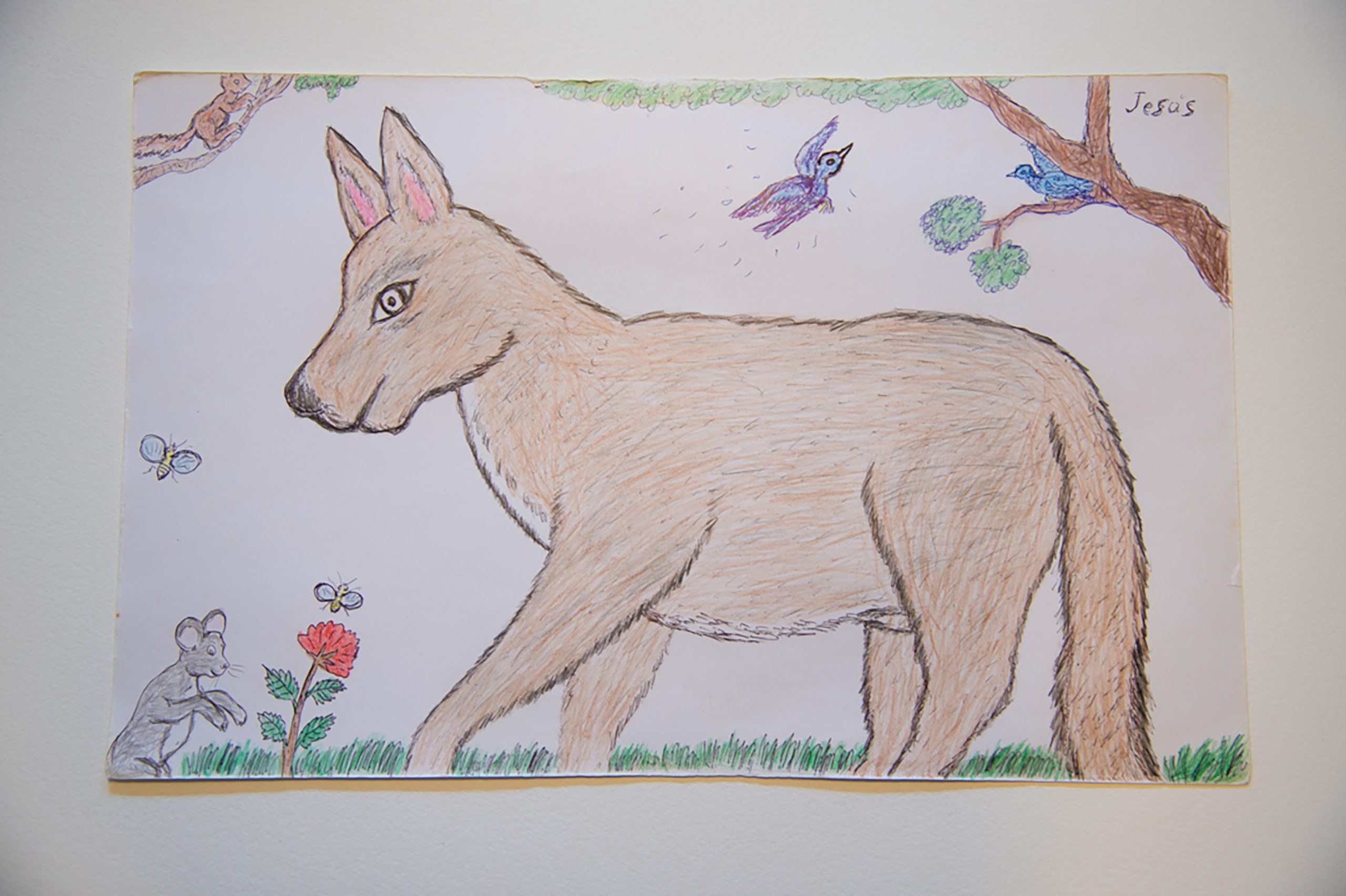 Story Banner