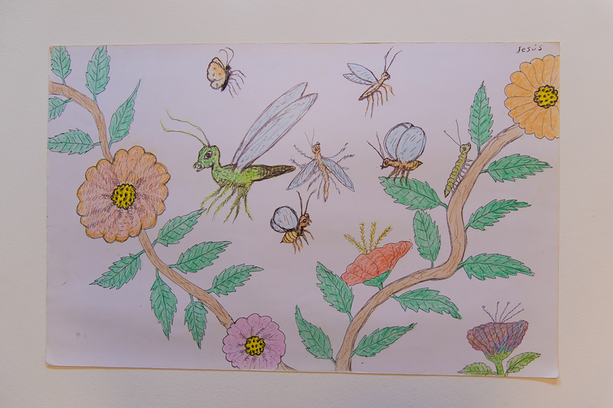 Story Banner