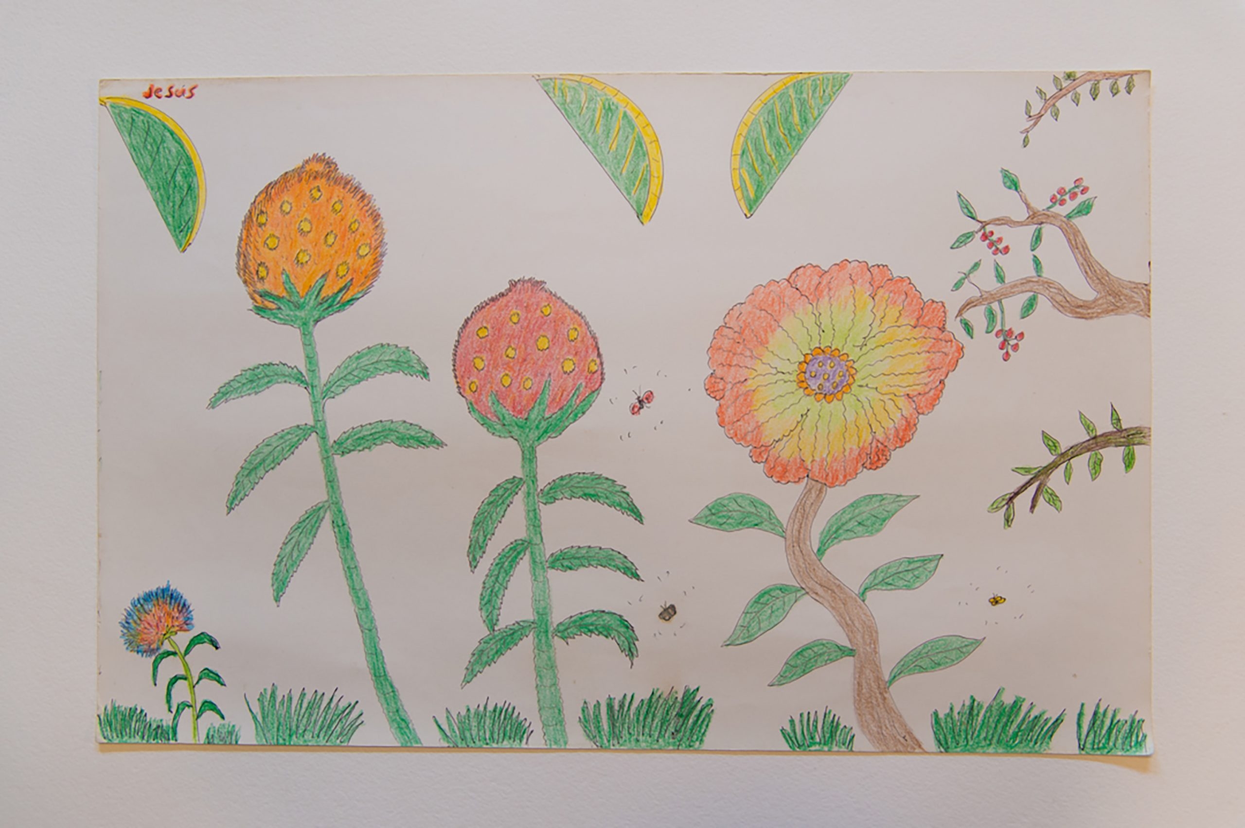 Story Banner
