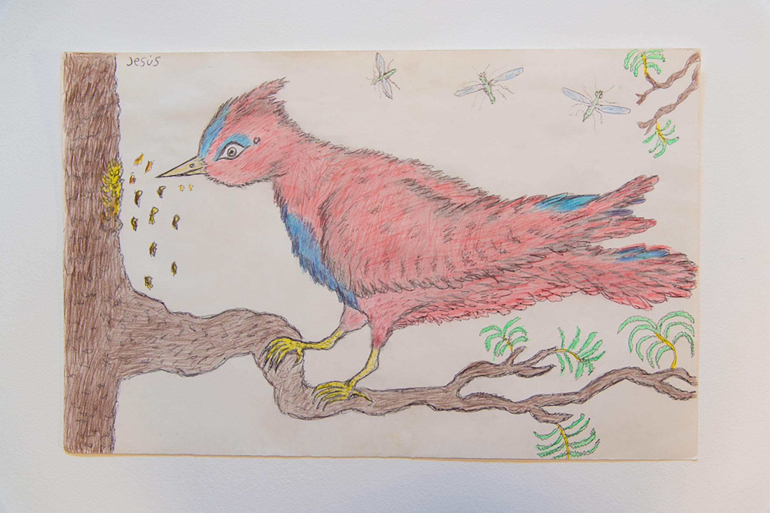 Story Banner