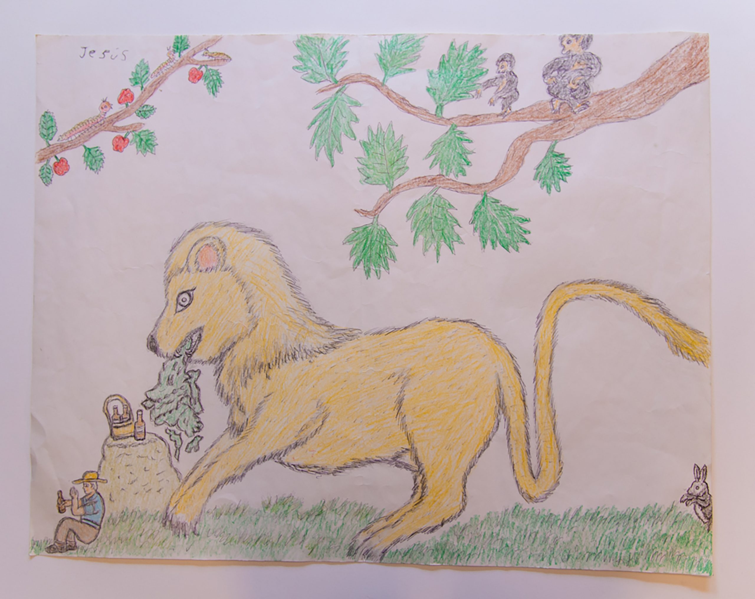 Story Banner