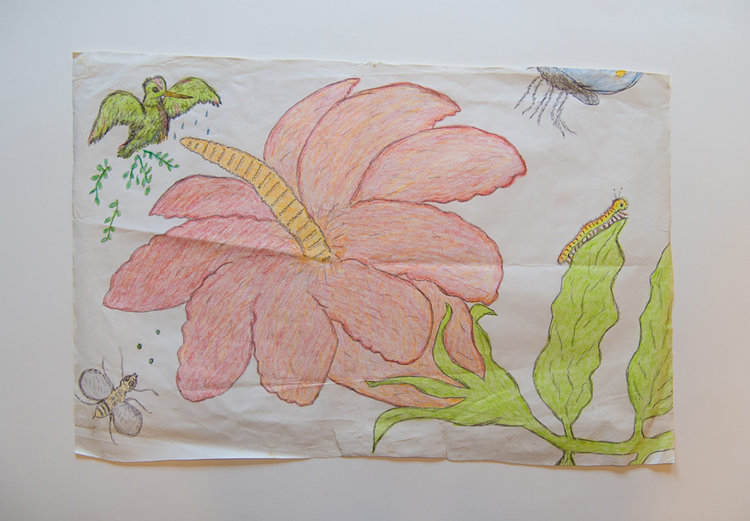Story Banner