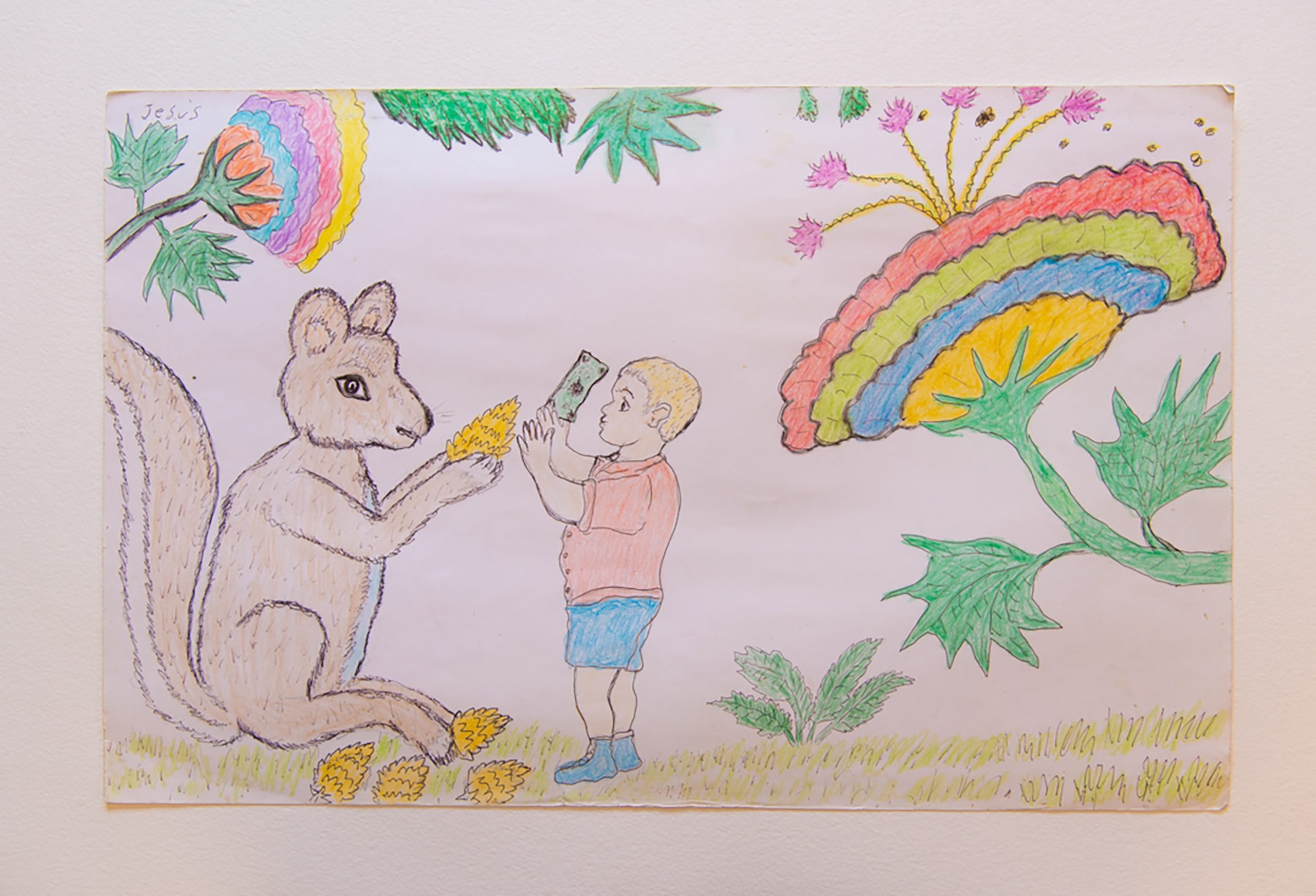 Story Banner