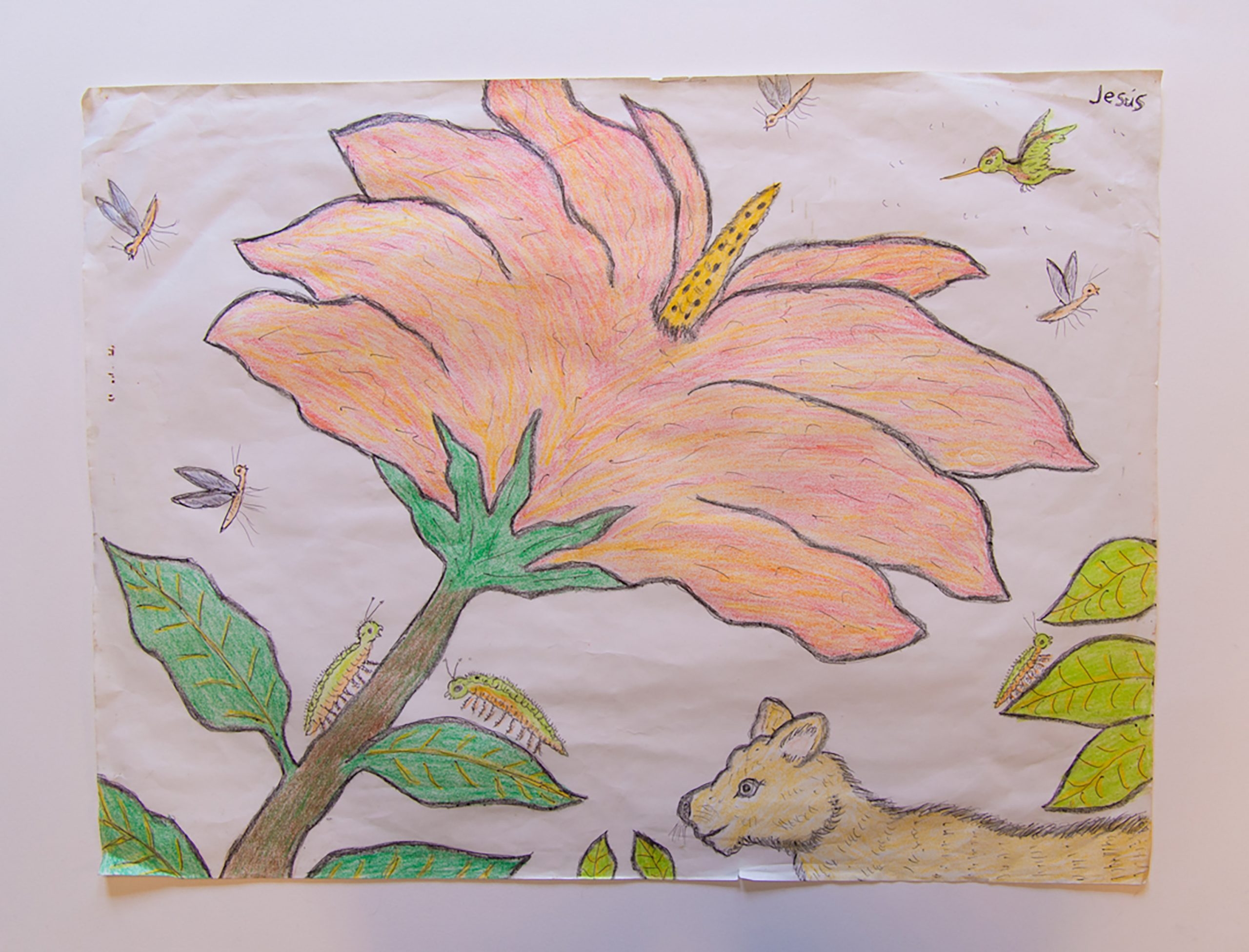 Story Banner
