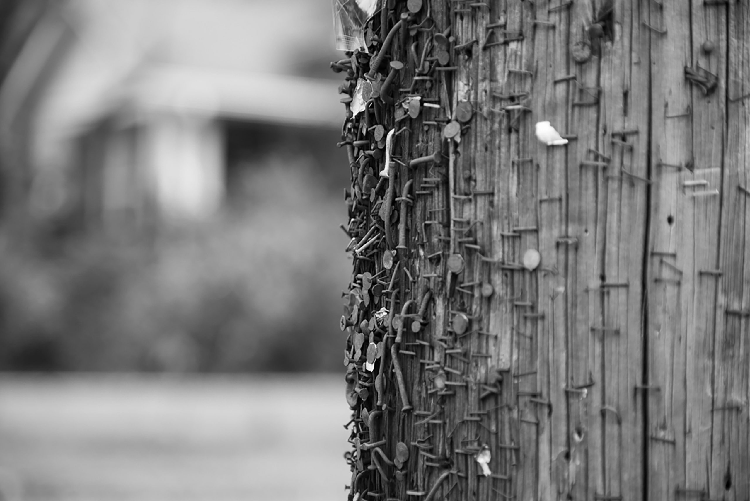 Story Banner