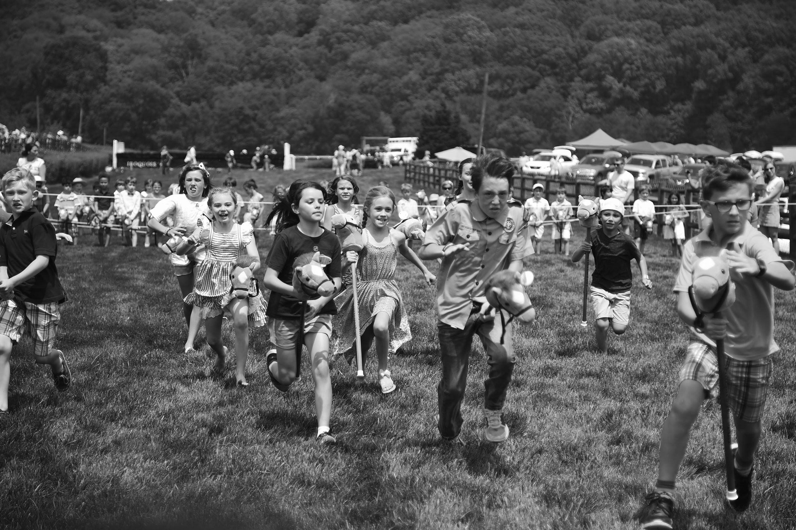 Steeplechase